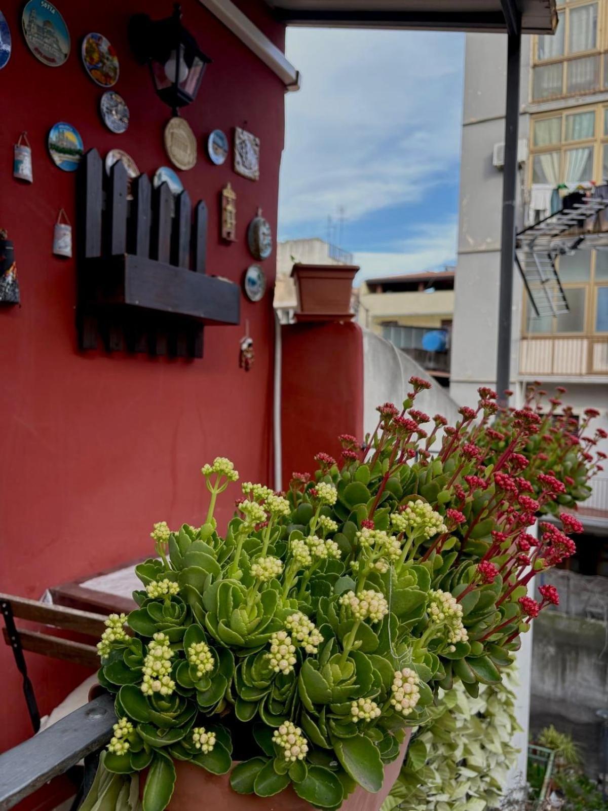 Roc House Apartment Catania Exterior photo